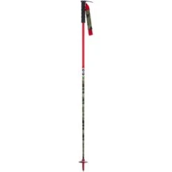LINE WHIP SKI POLES
