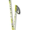 SALOMON HACKER POLES